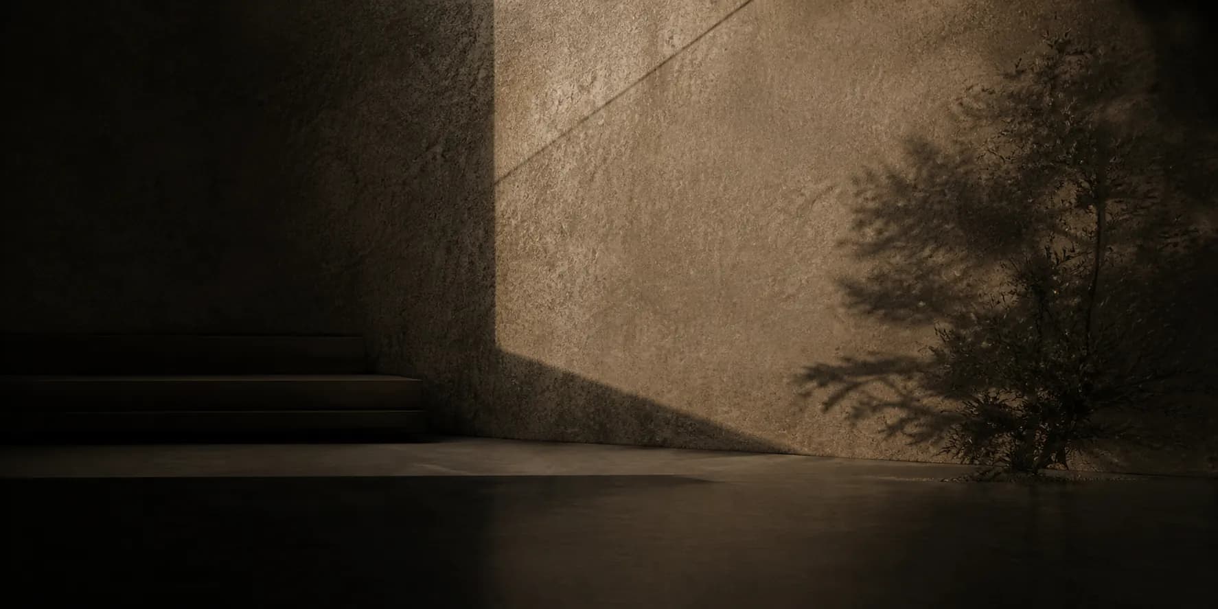 A quiet wall with soft light and the shadow of a small tree.