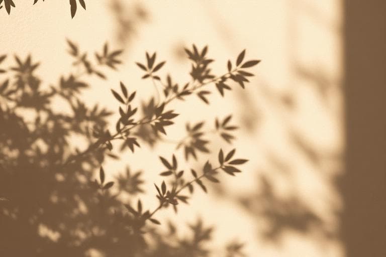 Light & Shadow material